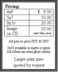Text Box: Pricing:
4x6	$   8.00
5x7	10.00
8x10	20.00
Image on CD	35.00new this year

All prices plus PST & GST

8x10 available in matte or gloss
All others are semi-gloss (satin)

Larger print sizes
quoted by request
