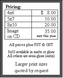 Text Box: Pricing:
4x6 $ 8.00
5x7 10.00
8x10 20.00
Image on CD 35.00new this year
All prices plus PST & GST
8x10 available in matte or gloss
All others are semi-gloss (satin)
Larger print sizes
quoted by request
